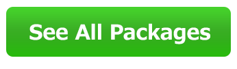 See All Small Business Website Design Package