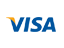 cost effective business website design by webtady visa card payment
