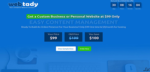 webtady cheap landing page